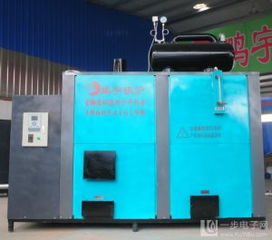 食用菌專用蒸汽環保鍋爐 綠色高效，助力食用菌產業可持續發展