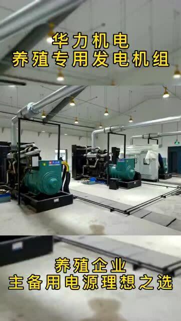 華力畜牧養殖專用發電機組 穩定供電與節能環保，護航養殖企業溫暖過冬